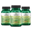 Swanson Lactobacillus Gasseri Probiótico para Adultos Procurando Apoio Digestivo e Metabólico com 3 bilhões de UFC - Resistente ao ácido, Sem Refrigeração (60 Cápsulas Vegan, 3 Pacote)