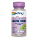 SOLARAY Ginkgo Biloba Extract with Gotu Kola - Ginko Biloba Cápsulas para Apoio à Saúde do Cérebro - Vegan, Lab Verified, 60-Day Garantia - 60 Servings, 60 VegCaps (60 VegCaps)