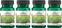 Swanson Orégano Oil 10:1 Extrato - Suplemento Natural Promovendo Saúde Digestiva e Suporte Respiratório - Suporta Sistema Gastrointestinal e Saúde do Trato Urinário - (120 Softgels, 150mg cada) (4 Pack)