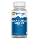 Óleo de semente de groselha preta 600 mg - Suprindo antioxidantes, ácido gama linolênico (GLA), alfa linolênico (ALA) e ácido linoleico (LA) - Suporte à saúde da pele - 60 dias de garantia, 90 Serv, 90 Softgels