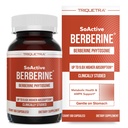 SoActive Berberine 550mg: 9,6X Absorção Mais Alta, Clinicamente Estudioso, Fitossoma Otimizado Apoia Metabolismo & AMPK Ativação .
