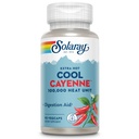SOLARAY Extra Hot Cool Cayenne 100.000 HU - Ajuda tradicional Folk Remedy e Digestion - Processo Bio-Cool - Laboratório verificado, instalação GMP, 60 dias de garantia - 45 Servings, 90 VegCaps