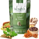 Adapt & Thrive - Energia e Resiliência ao Stress, Ashwagandha orgânica & Cordyceps Mistura para apoiar saudável Função Adrenal Café Alternativa