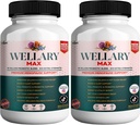 Wellary Max Menopause Support Suplementar, 40 bilhões UFC Mistura probiótica, 90 cápsulas (2)