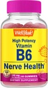 BemSim alta potência vitamina B6 chicletes - Promove a saúde nervosa, função cognitiva, regulação do humor, apoio imunológico, e saúde cardiovascular - Vegan, Não-GMO, Gluten-Free - 60 Contagem