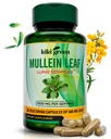 KIKI Green Mullein Leaf Extract Cápsulas - Vegan Herbal Supplement - para Lung Cleanse, Suporte, Melhor Respiratório, Função Imune - 1000mg 45 Servings - 90 Contagem