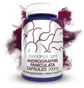 Andrographis paniculata Cápsulas 200mg 60 Contagem 50% Andrographolides Suporta função imunitária Suporta função celular