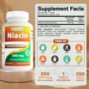 Melhores Naturals Niacin 500mg 250 Comprimidos com Flushing - Também chamado Vitamina B3 (250 Contagem (Pacote de 2))