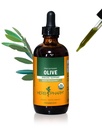 Herb Pharm certificado Olive Leaf extrato líquido orgânico para suporte do sistema imunológico, 4 Fl Oz