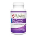 Recursos de bem-estar Multi Vitamina pré-natal diária - Folato metilado Zinco ferro Bisglicinato Colina & Nutrientes chave - Natural Pré-natal Pós-parto Vitaminas para Mulheres - 120 Caps