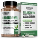 Cápsulas de Clorofila Benevolenta 350mg - 100% Natural + Ultra Clorofila 20x Concentração de potência para aumento de energia, suporte imunológico, Desodorante Interno, Saúde da Pele, Não-GMO, 120 Cápsulas