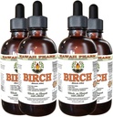 Extrato líquido livre de álcool, Birch (Betula Alba) Bark seco Glicerite Hawaii Pharm Natural Herbal Supplement 4x4 oz