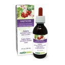 Naturalma Hawthorn (Crataegus oxyacantha) Folha e flor Tintura sem álcool - 4 fl oz extrato líquido em gotas - Suplemento de ervas - Vegan