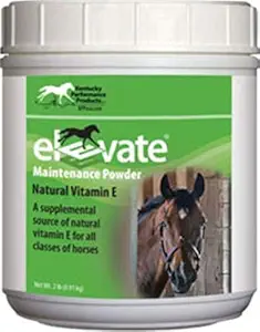 Kentucky Performance Prod 044097 Elevate manutenção em pó Suplemento para cavalos, 2 lb