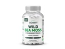 Organics Ocean Wild Sea Moss Cápsulas - 100% Organic Irish Sea Moss com chlorela orgânica, Bladderwrack e vitamina D para energia, saúde pulmonar e suporte de tireóide para mulheres e homens - 60 Cápsulas