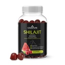 Shilajit Gummies – Puro Himalayan Shilajit Suplemento com Ácido Fulvico – 1000mg Natural Shilajit Puro apoio energético – Açúcar sem framboesa sabor de melancia – Vegan, Não-GMO, Sem glúten – 60 Contagem