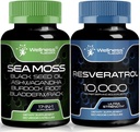 WELLNESS LABSRX Resveratrol Cápsulas com Sea Moss Cápsulas