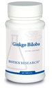 Biotics Research Ginkgo Biloba padronizado 24% Ginkgo Biloba Percent Extract, Suplemento Cérebro, Nootrópico, Foco, Energia, Memória, Envelhecimento Saudável. 60 Comprimidos