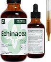 Echinacea 4 fl oz extrato líquido - raiz orgânica, folha, flor, semente - suplemento de ervas naturais - corpo, tintura de suporte do sistema imunológico - gotas de alta potência - fornecimento de 90 dias - tamanho da família