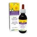 Naturalma Dandelion (Taraxacum officinale) Raiz e ervas Tintura sem álcool - 4 fl oz extrato líquido em gotas - Suplemento de ervas - Vegan