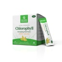 Pacotes Sunshine Chlorophyll Stick da natureza: sobrecarregue seu detox e aumentar a saúde da gut em embalagens convenientes, Delicious Stick (Sweet Melon)