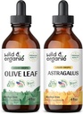 Tintura de Folha de Oliva Selvagem e Orgânica 4 fl oz & Astragalus Tintura 4 fl oz