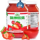 Wildcrafted Irish Sea Moss Gel □ Made in USA Rico em Vitaminas & Minerals □ Sea Moss Gel Raw □ Suplemento Nutricional