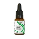 Busca de Saúde Gotas de Lactase - Suplemento Líquido com Enzima de Lactase para suporte de intolerância à lacticínios - Suporte de Intolerância para Digestão - Suplemento de Enzima de Lactase - 0,50 Fl oz, 52 Servings