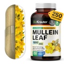 BIO KRAUTER Mullein Cápsulas 1200 mg 250 Contagem - Puro Vegan Mullein Leaf Extract para pulmões - 125 Dias de Abastecimento - Lung Cleanse & Respiratory Support Suplementos - Sem enchimentos, Não-GMO