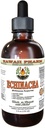 Echinacea extrato líquido sem álcool, Echinacea orgânica (Echinacea Purpurea) Glicerite de ervas secas Hawaii Pharm Natural Herbal Supplement 4 oz