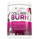 Vitautority Colágeno Peptídeos em pó Perda de peso Suplementos - Complexo de beleza hidrolisado para mulheres, unhas de pele de cabelo - Suporte de queima de gordura - Chocolate Flavored 25 Servings