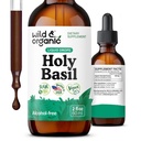 Selvagem & orgânica Folha de Basil Santo Tintura - Relaxação, calma, Apoio ao humor - Tulsi Santo Basil Suplemento - Vegan, Açúcar & Álcool-Free Herb Extract Drops - 2 fl oz