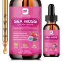Sea Moss Liquid Drops - Óleo de semente preta orgânica Irish Sea Moss Gel com Burdock Root, Bladderwrack, Elderberry, Vitamina C, D3, 6X Stronger Seammoss Gel para Digestivo, Saúde do cabelo - Vegan