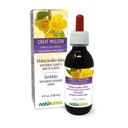 Naturalma Grande Mullein ou Mullein comum (Verbascum tapsus) Tintura sem álcool flor e folha - 4 fl oz extrato líquido em gotas - Suplemento de ervas - Vegan