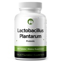 Lactobacillus Plantarum Probiotic Supplement 240 Comprimidos 3 Bilhões de UFC Probióticos para homens e mulheres Suporta Digestivo intestinal & Gut Health (240, Lactobacillus Plantarum)
