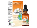 Kiddivit bebê Lactoferrina gotas líquidas – Gentil Imune Supplement – 100mg Fórmula com Inulina Prebiótica – 60 Servimentos diários – Açúcar grátis, Sem glúten, Vegetariano, 2 onças