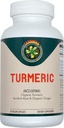 Carnívora Turmérica – Suporte para articulações e saúde digestiva (90 Cápsulas Vegan)