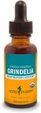 Herb Pharm Grindelia Liquid Extract for Respiratory System Support - 1 Onça (DGRIND01)