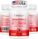 Urolitina A Suplemento 1400 MG - Sem GMO, Sem Glúten, Antienvelhecimento, Renovação Celular, Força Músculo, Endurance & Longevity Support, Urolitina Lipossômica A, 60 Contagem