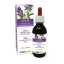 Naturalma Alfalfa ou Lucerna (Medicago Sativa) erva com flores Tintura sem álcool - Rico em Clorofila Natural - 4 fl oz extrato líquido em gotas - Suplemento de ervas - Vegan