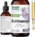 Everever Cachorrinho Echinacea Drops para cães - suporte de imunidade e saúde respiratória w/Echinacea Herb Extract - suplemento de suporte imunológico líquido para cães de todas as raças e tamanhos - 4 oz