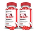 Laboratórios justificados (2 Pacote Vital Grow XL Performance Gummies 1000MG Fórmula avançada Formulado com ACV Pomegranate Beet Juice Pó B12 Vegan Non GMO 120 Gummys