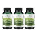 Swanson Lion's Mane Mushroom - Suplemento tradicional de reforço do cérebro feito de Hericium Erinaceus (60 cápsulas, 500mg cada) 3 Pack