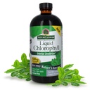 Resposta da natureza Clorofila líquida, 100 mg, 16 fl oz (480 ml)