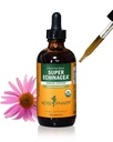 Herb Pharm certificado Orgânico Extrato Líquido Super Echinacea para suporte ativo do sistema imunológico - 4 Oz