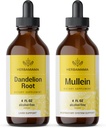 Herbamama Kit de gotas líquidas de ervas - pacote de raiz de dente-de-leão e folha de Mullein Tintura 4 fl oz - Vegan, Não-GMO, Açúcar & Álcool - 2 Pack
