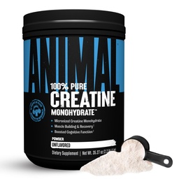 Creatina animal Mono-hidrato Pó - Creatina micronizada para Mulheres e Homens, Suporta Crescimento Músculo, Força, Endurance, Recuperação e Produção de ATP, Gym & Treino Suplementos - Sem sabor, 1 kg
