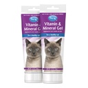 PetAg Vitamina & Gel Mineral Suplemento para Gatos - 3,5 onças, pacote de 2 - Fornece vitaminas básicas diárias & minerais para gatos 4 meses e mais velhos - Fácil de digerir