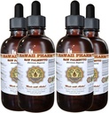 Hawaii Pharm Saw Palmetto (Serenoa Repens) Liquid Extract 4x4 fl. oz