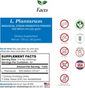 Alimentos para Gut Lactobacillus Plantarum Pó Probiótico 400 bilhões de ufc's □ Made in USA Não Aditivos □ Direct from Manufacturer □ Sem Armazenamento de Terceiros